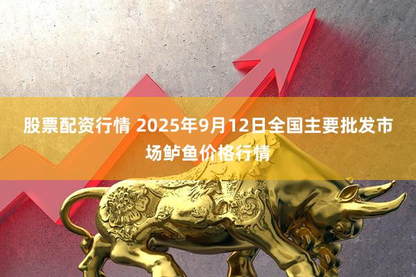 股票配资行情 2025年9月12日全国主要批发市场鲈鱼价格行情