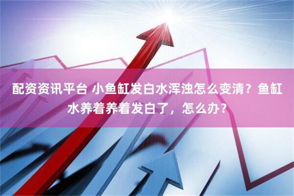 配资资讯平台 小鱼缸发白水浑浊怎么变清？鱼缸水养着养着发白了，怎么办？