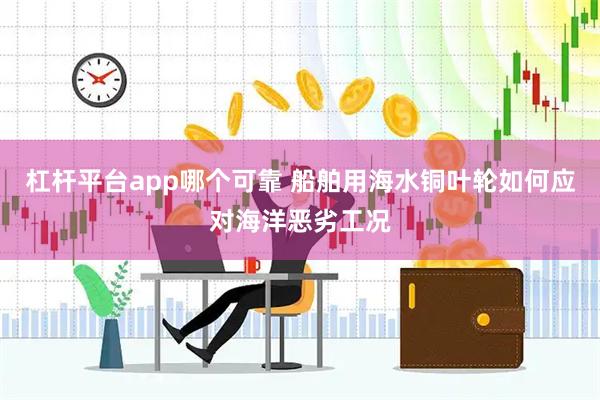 杠杆平台app哪个可靠 船舶用海水铜叶轮如何应对海洋恶劣工况